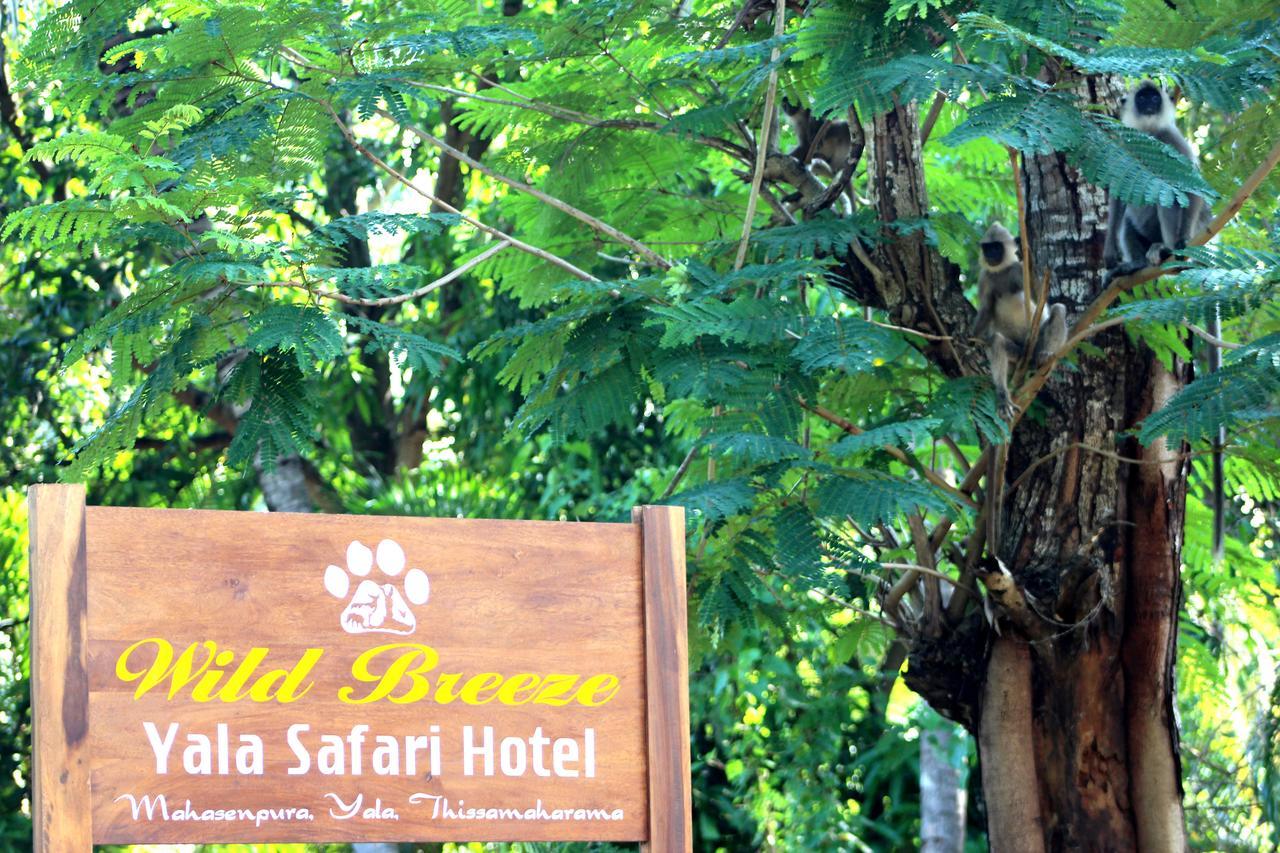 Wild Breeze Hotell Tissamaharama Exteriör bild
